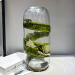 Vase - Image 2