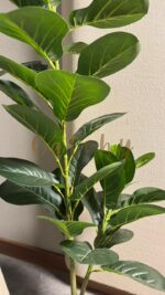 Fiddle- Leaf Tree - Image 3