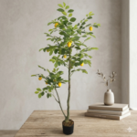 Lemon Tree