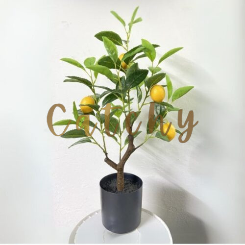 Lemon Tree