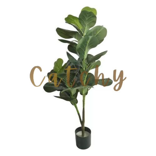 Fiddle- Leaf Tree