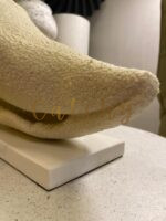 Abstract Shell Sculpture - Image 3