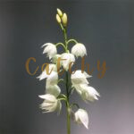 PU artificial flower
